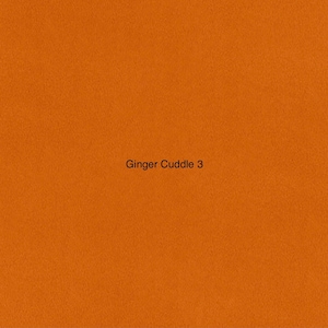 May include: A solid orange background with the text "Ginger Cuddle 3" in black, centered horizontally. The background has a slightly textured appearance.