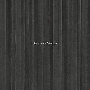 Ash Vienna Luxe Cuddle Minky by Shannon Fabrics