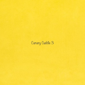 Canary Solid Smooth Cuddle 3 Minky from Shannon Fabrics