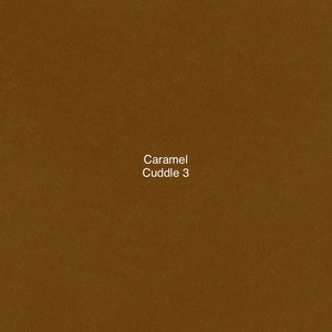 Caramel Solid Smooth Cuddle 3 Minky from Shannon Fabrics