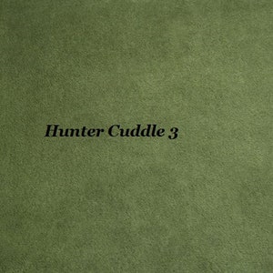Hunter Solid Smooth Cuddle 3 Minky from Shannon Fabrics