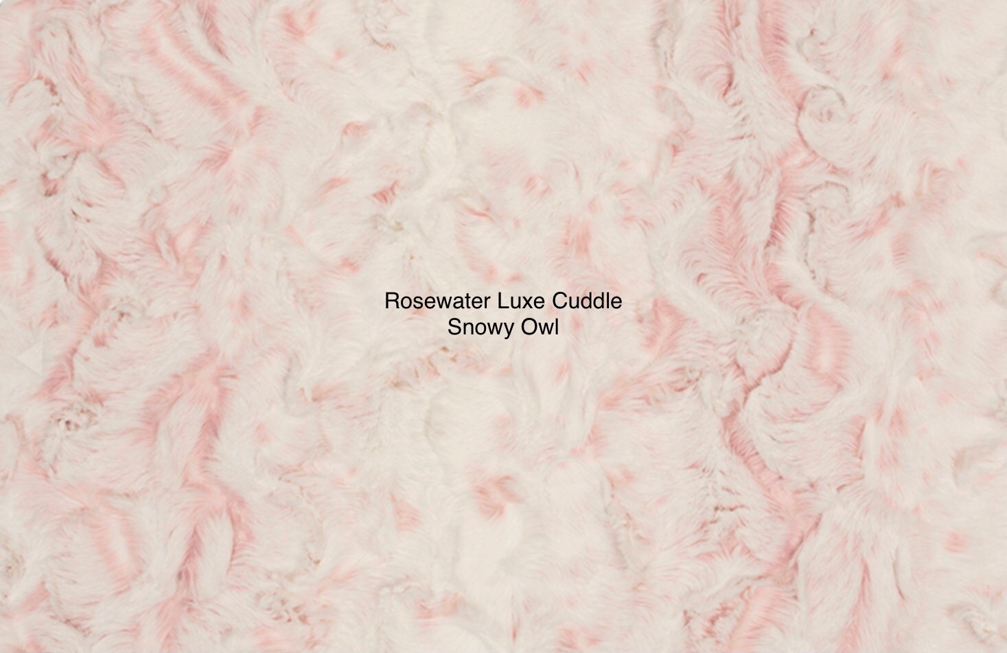 Rosewater Luxe Cuddle Snowy Owl Minky by Shannon Fabrics