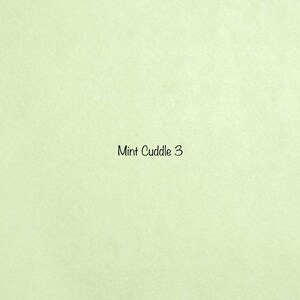 Mint Solid Smooth Cuddle 3 Minky from Shannon Fabrics