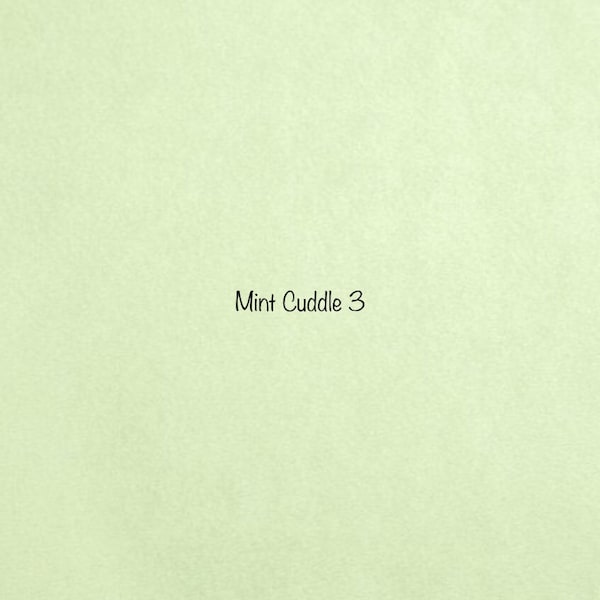 Mint Solid Smooth Cuddle 3 Minky from Shannon Fabrics