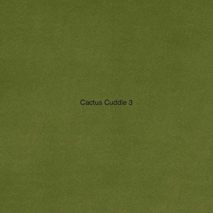 May include: A green background with the text "Cactus Cuddle 3" in the center.