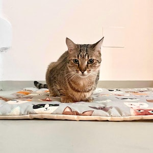 Op de afbeelding: Een tabbykat die op een lichtblauw kattenbed zit met een witte rand. Het bed is bedekt met een patroon van kleurrijke kattengezichten.