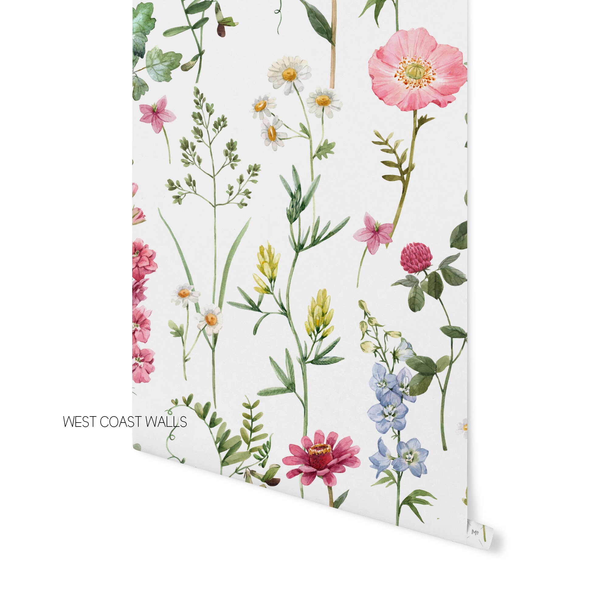 Stunning Rhs Wildflower Seeds Image Illustration Stunning Rhs Wildflower Seeds Image Illustration