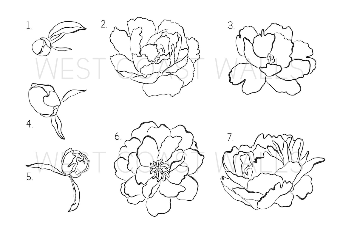 Flower Wall Stickers / Removable Floral Wall Decal / Peony Etsy Canada