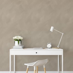 Limewash Style Wallpaper / Textured Wallpaper / Textured Walls / Accent