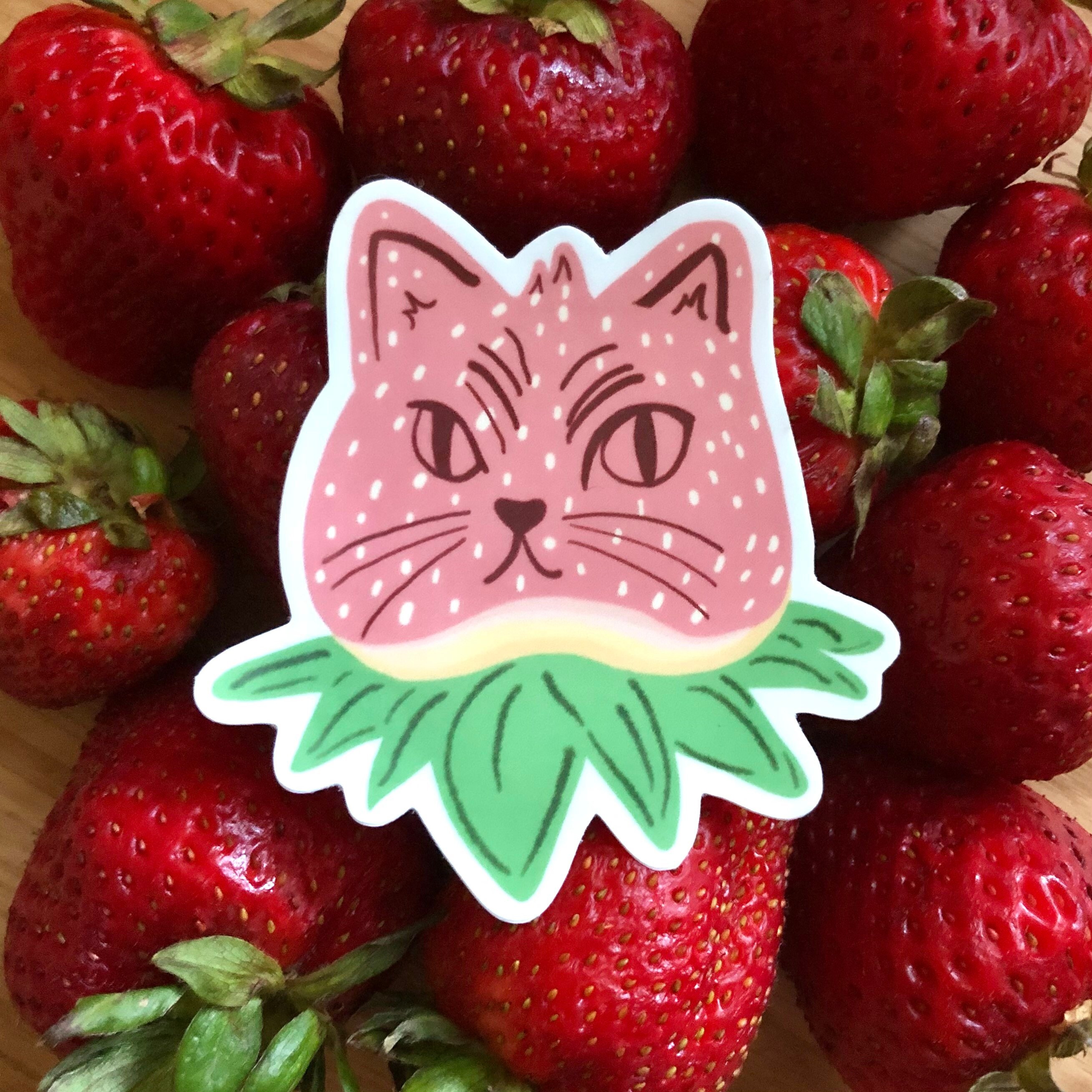 Strawberry Cat Sticker Etsy
