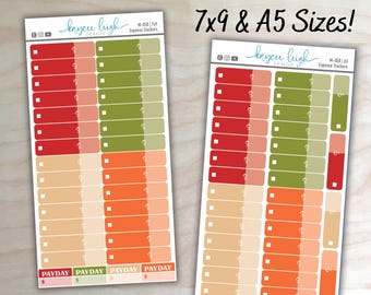 Expense Tracker Stickers | Four Colors | 7x9 & A5 | Budget Stickers| 4 Payday Stickers Included | M-058