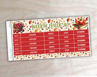 Weekly Check-In Budget Stickers for A5, 7x9, and 8.5x11 Planners | M-058