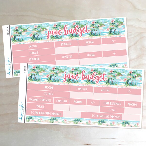 June Budget Stickers for A5, 7x9, and 8.5x11 Planners | M-021