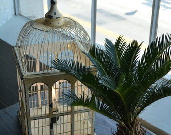 Victorian Birdcage with Edison Bulb and Fairy Lights - The Gilded Series