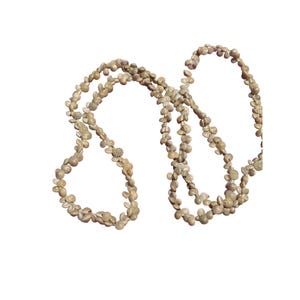 May include: A long necklace composed of numerous small, light tan, textured, circular shell-like beads strung together in a continuous strand. The beads have a granular, speckled surface appearance and are arranged in a repeating pattern.