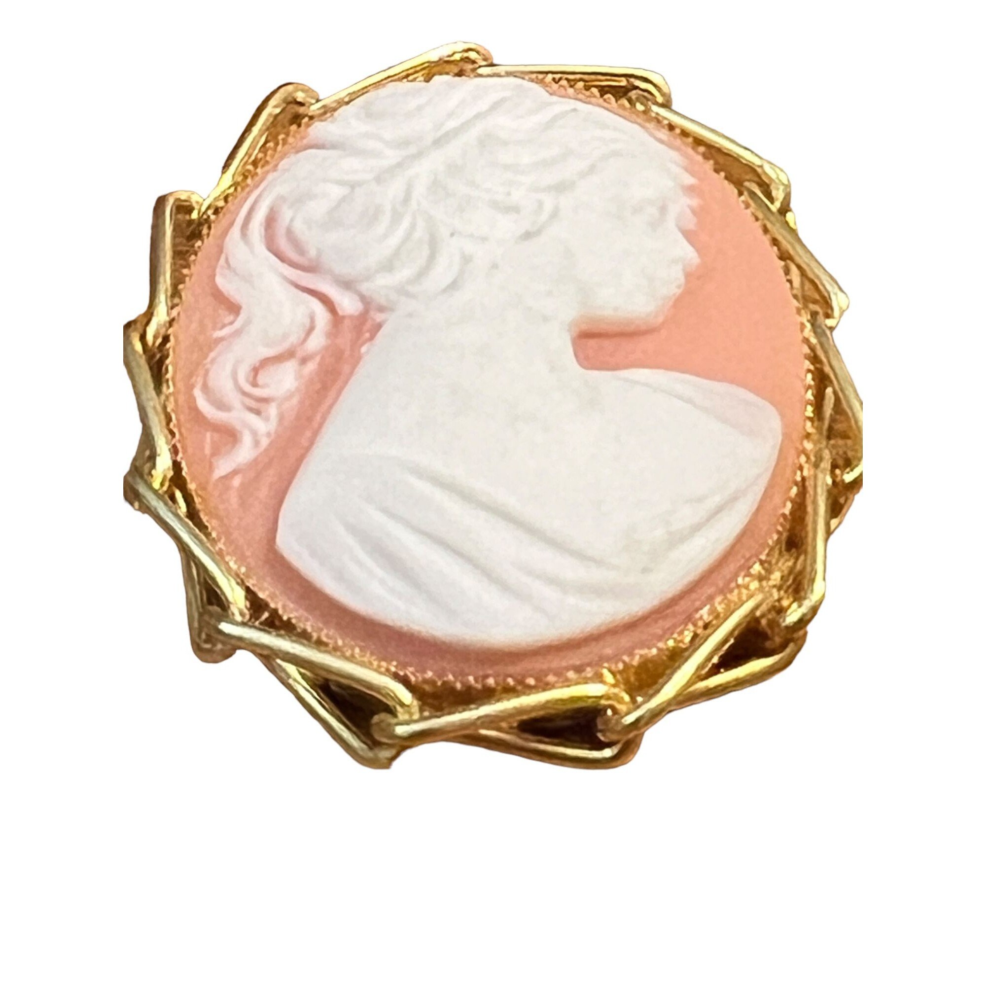 Broche Vintage Camée En Résine Couleur Or - Fermoir à Pompe - État Parfait