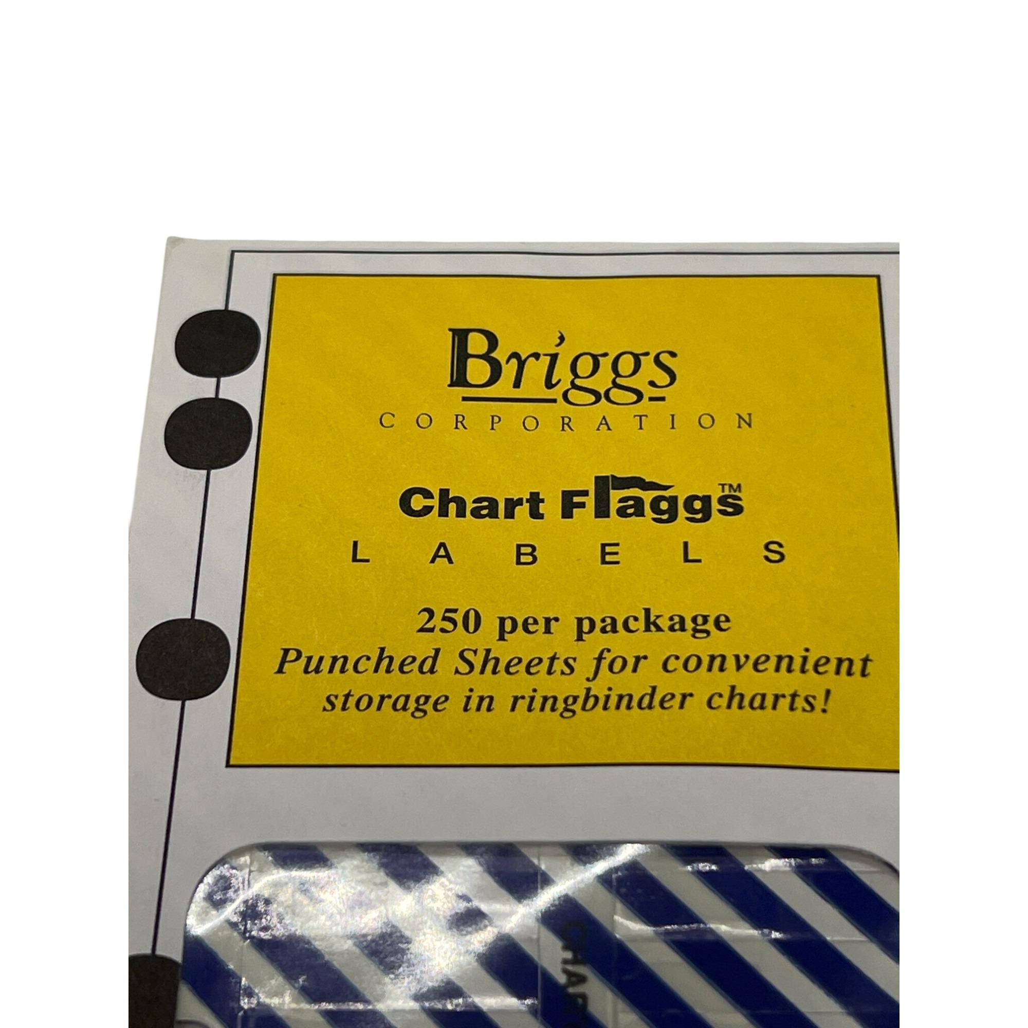 Briggs Chart Flagg Labels 250-pack Durable Punched Sheets Flags Blue ...