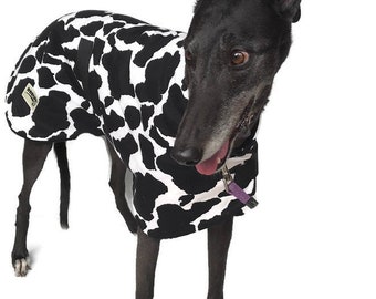 Greyhound autumn dog coat black cow print design