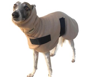 champ greyhound coats