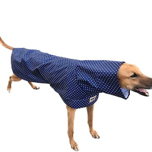 Navy blue with white dots Ultra lightweight Greyhound raincoat deluxe style in weatherproof nylon afbeelding 3