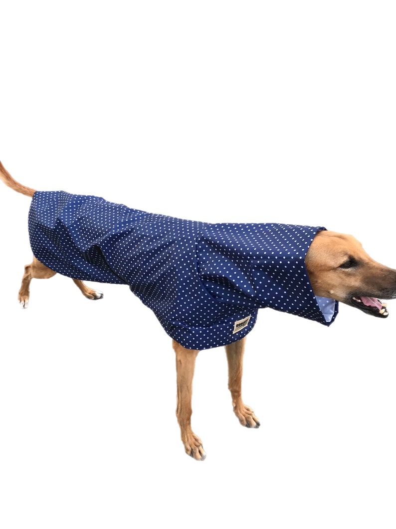 Navy blue with white dots Ultra lightweight Greyhound raincoat deluxe style in weatherproof nylon afbeelding 3