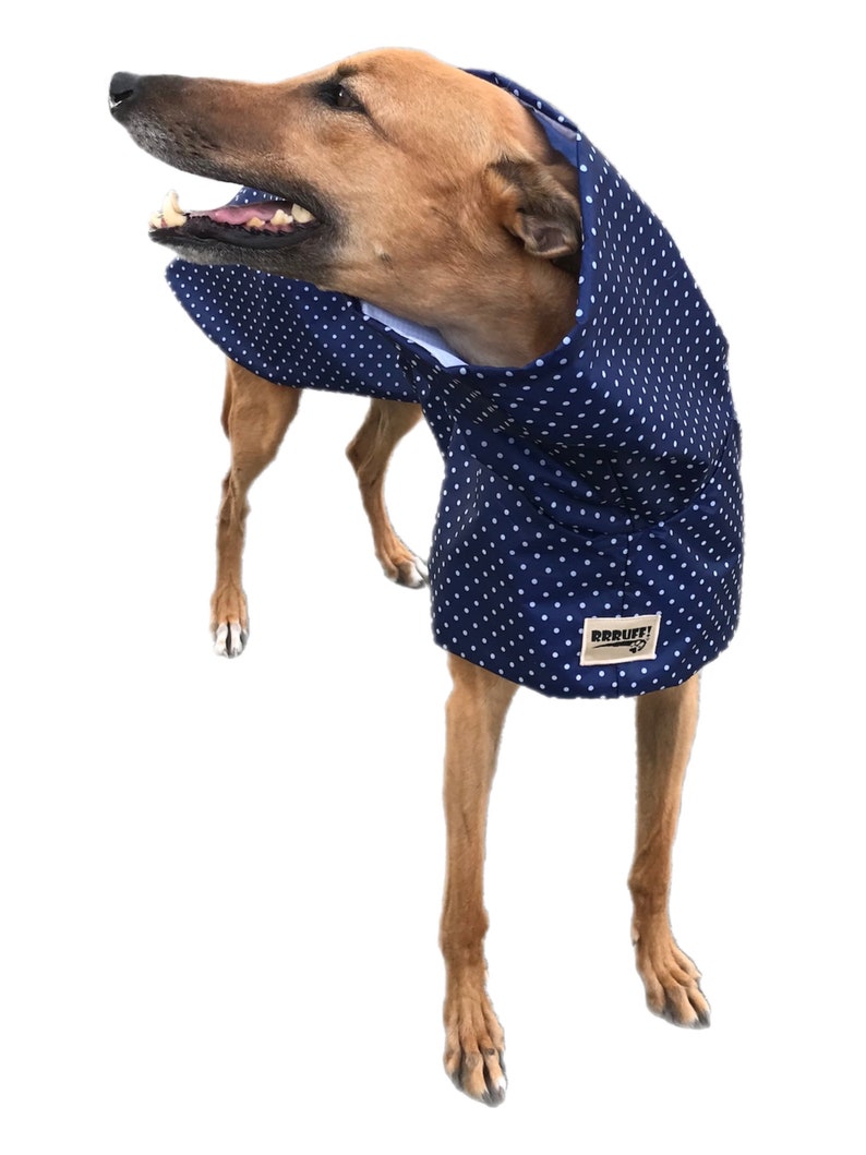 Navy blue with white dots Ultra lightweight Greyhound raincoat deluxe style in weatherproof nylon afbeelding 2