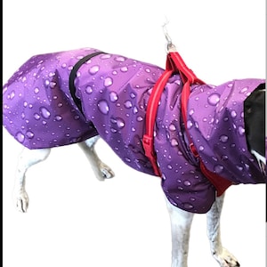 Navy blue with white dots Ultra lightweight Greyhound raincoat deluxe style in weatherproof nylon afbeelding 7