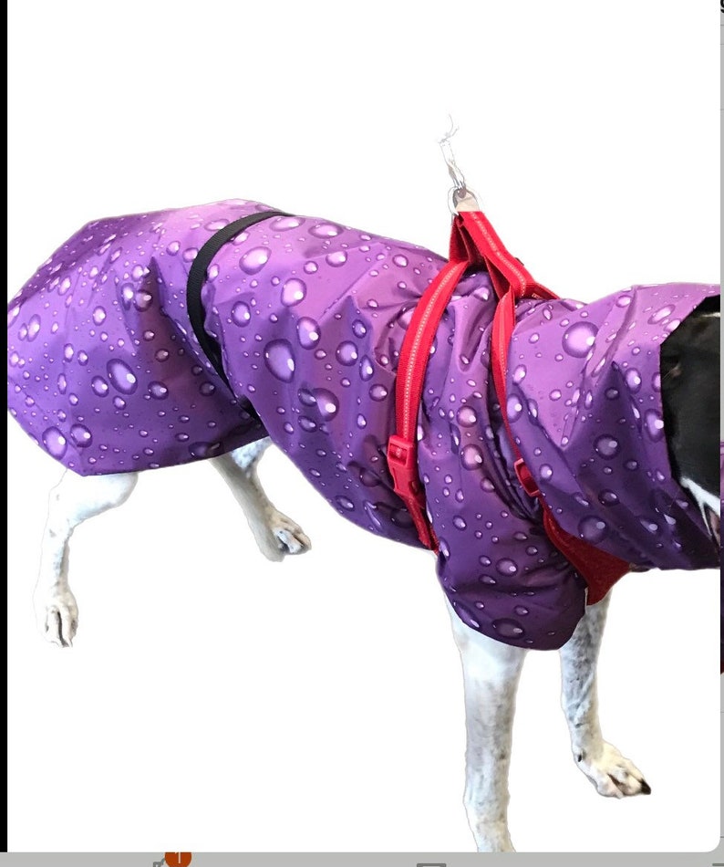 Navy blue with white dots Ultra lightweight Greyhound raincoat deluxe style in weatherproof nylon afbeelding 7