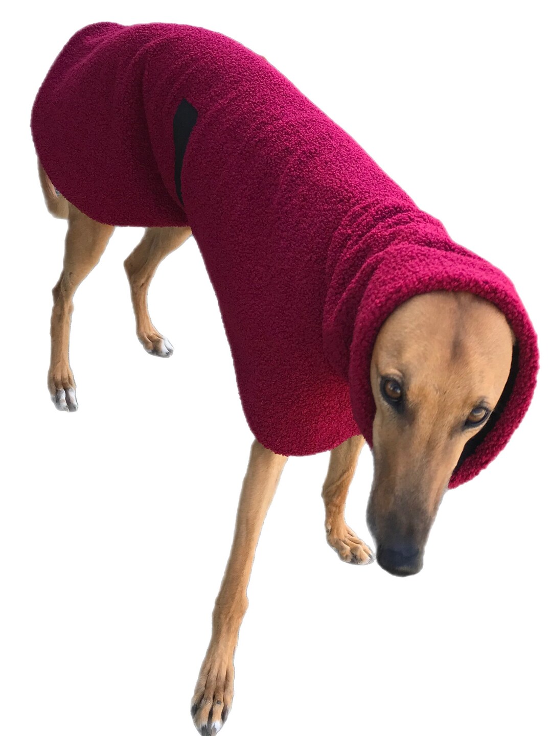 Greyhound Coat in Teddy Bear Fleece in a Rich Burgundy Deluxe Etsy