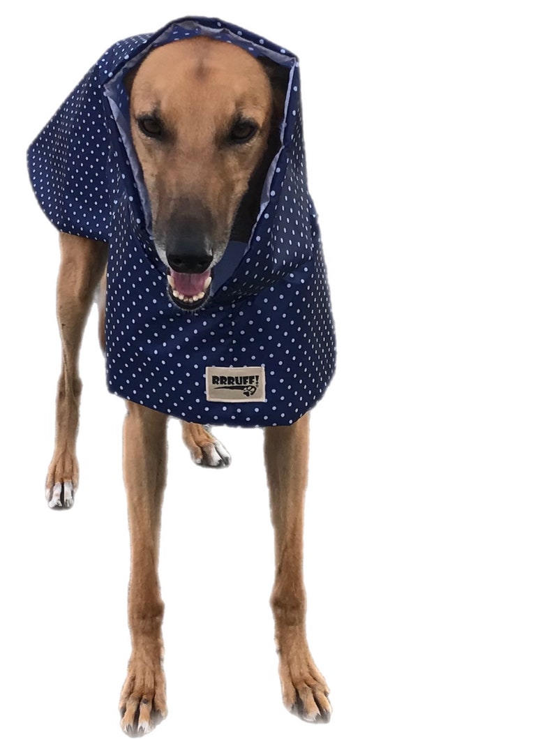 Navy blue with white dots Ultra lightweight Greyhound raincoat deluxe style in weatherproof nylon afbeelding 6