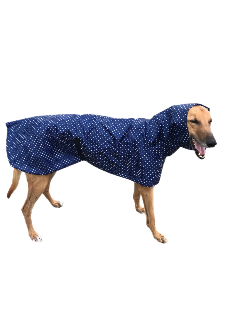 Navy blue with white dots Ultra lightweight Greyhound raincoat deluxe style in weatherproof nylon afbeelding 5