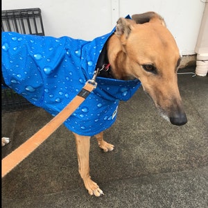 Navy blue with white dots Ultra lightweight Greyhound raincoat deluxe style in weatherproof nylon afbeelding 10