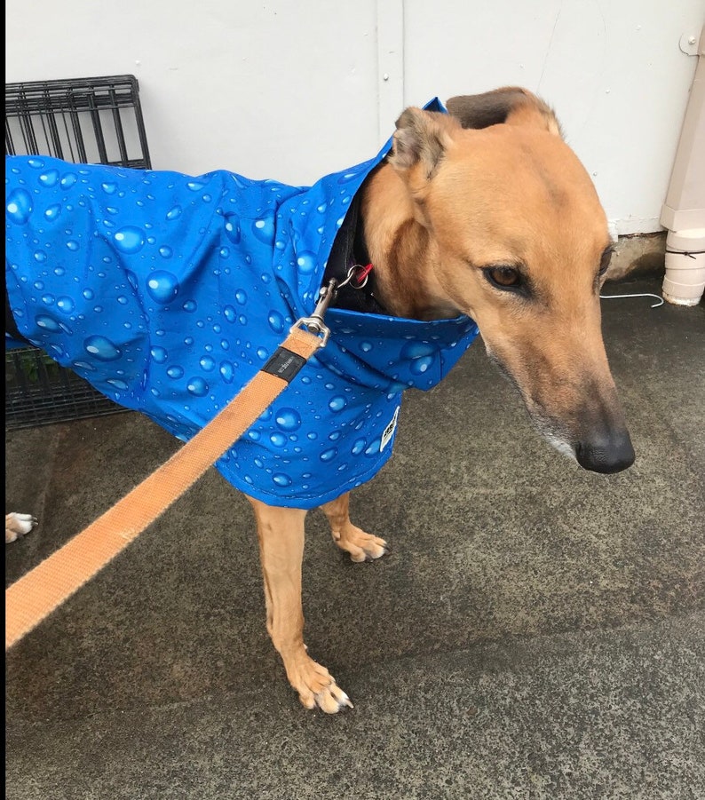 Navy blue with white dots Ultra lightweight Greyhound raincoat deluxe style in weatherproof nylon afbeelding 10