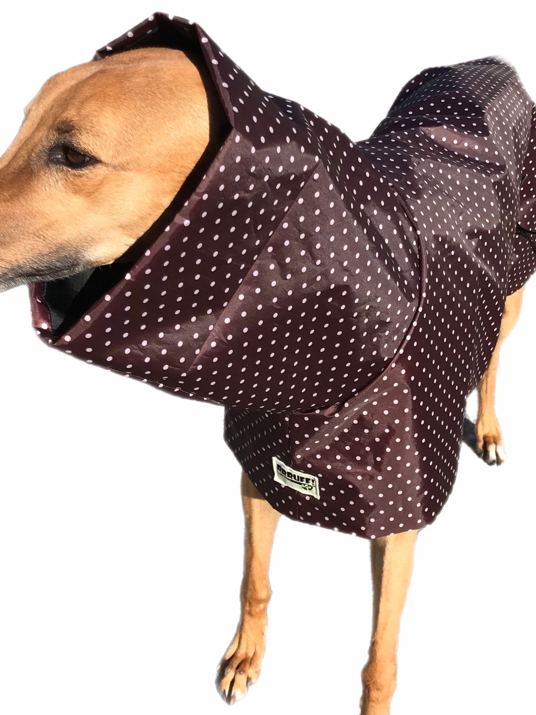 Ultra Lightweight Greyhound Raincoat Deluxe Style in Weatherproof Nylon