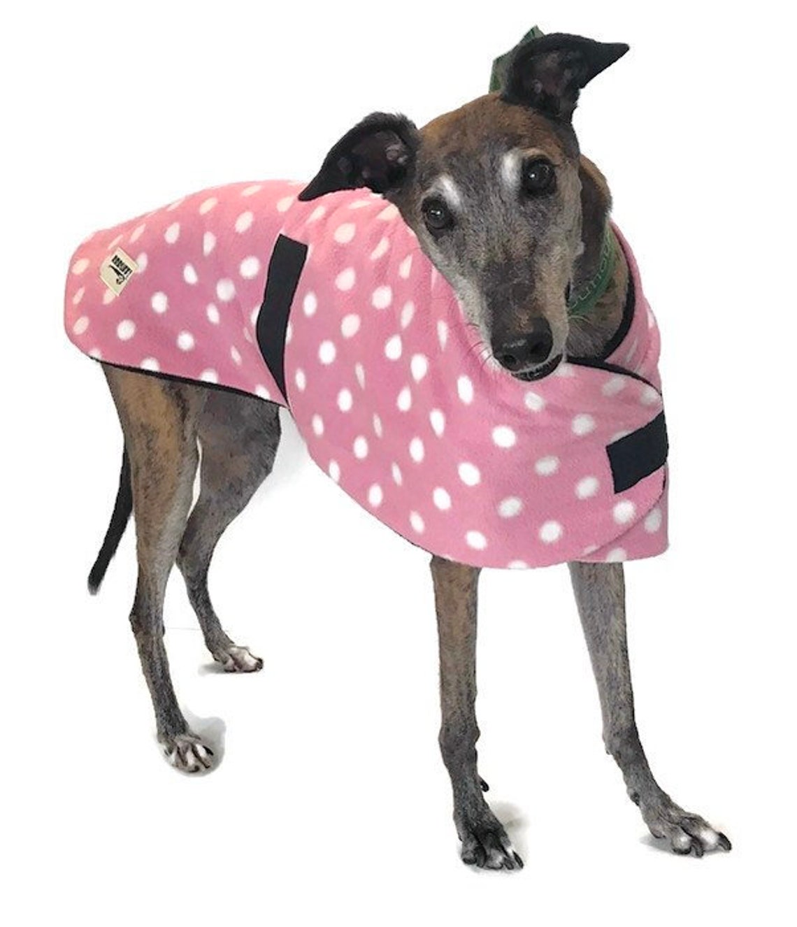 Greyhound dog coat pink with white large dots design Etsy