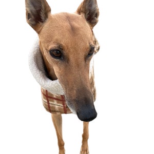 The tan Lumberjack Greyhound deluxe coat flanno check design plush Sherpa & polar fleece machine washable image 6