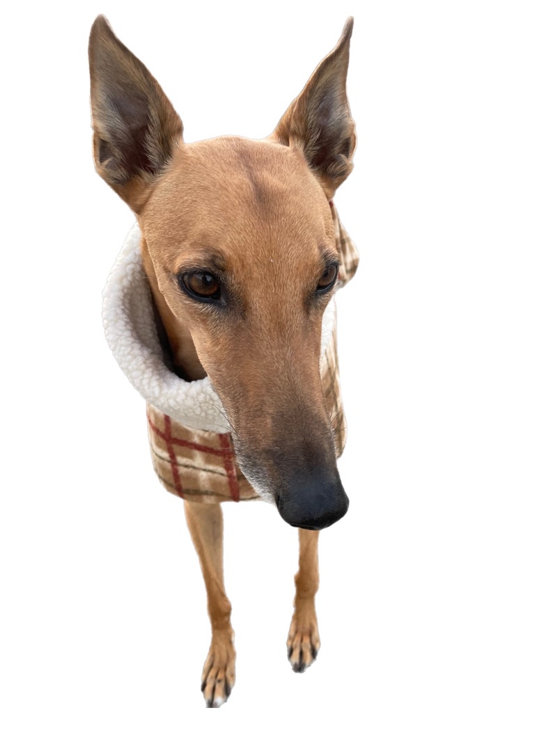 The tan Lumberjack Greyhound deluxe coat flanno check design plush Sherpa & polar fleece machine washable image 6