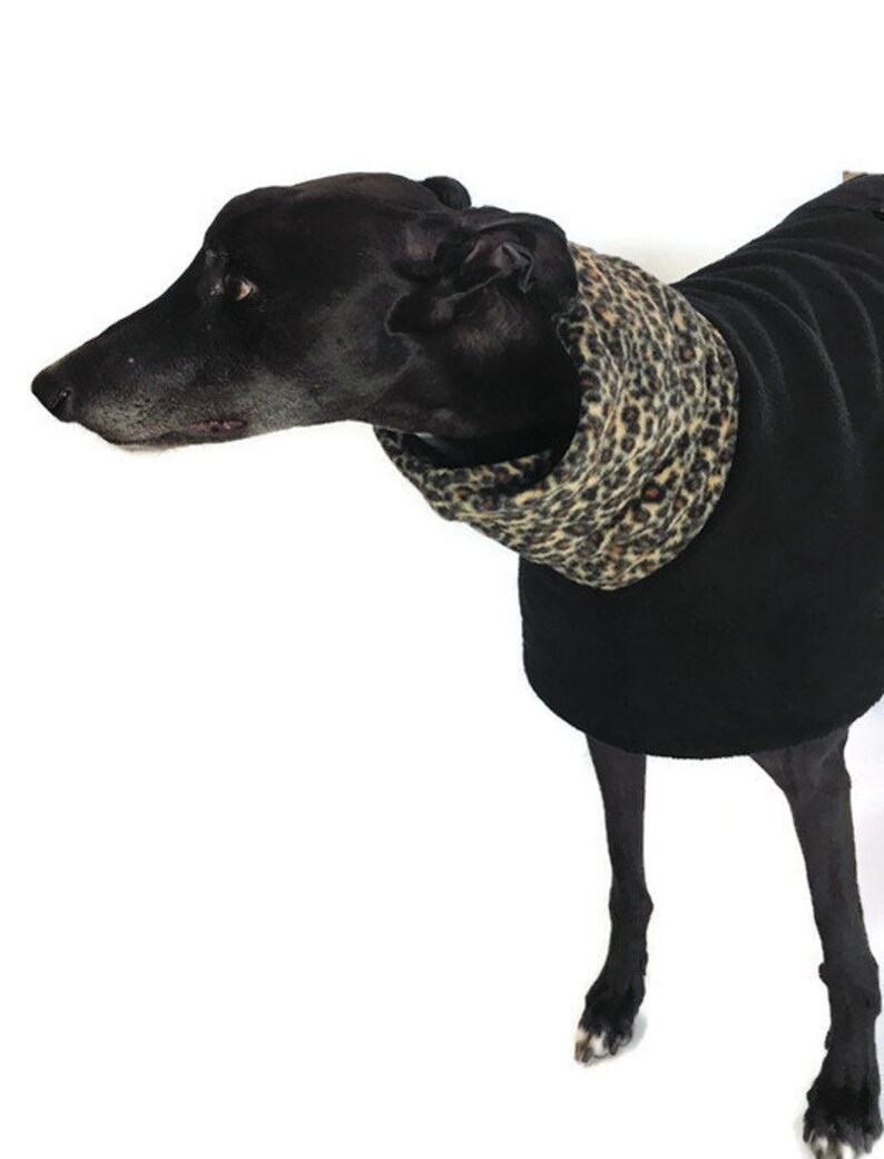 Greyhound coat deluxe style black with leopard print very wide Etsy
