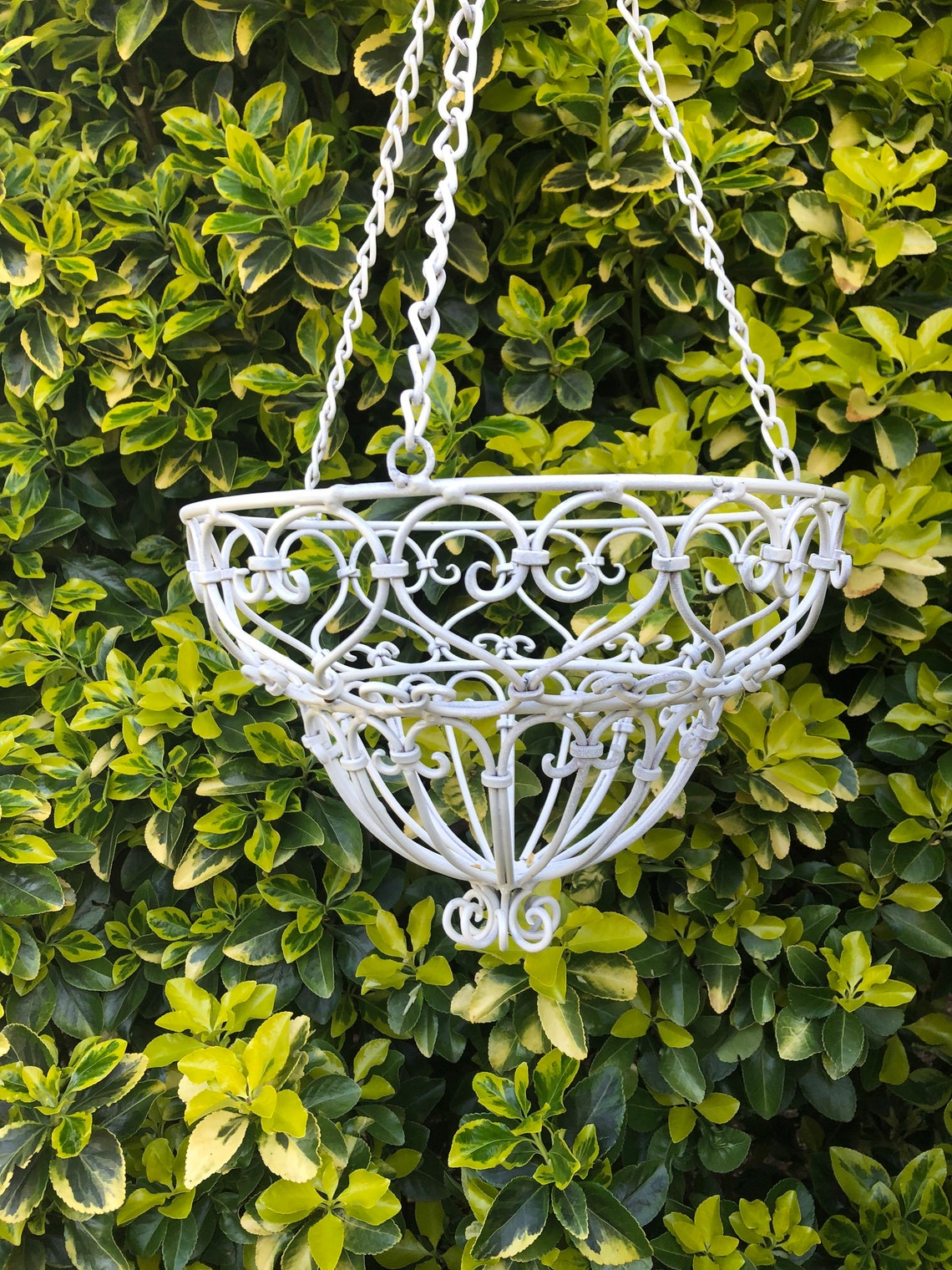 Vintage Wrought Iron Hanging Garden/Planter Basket Outdoor Etsy