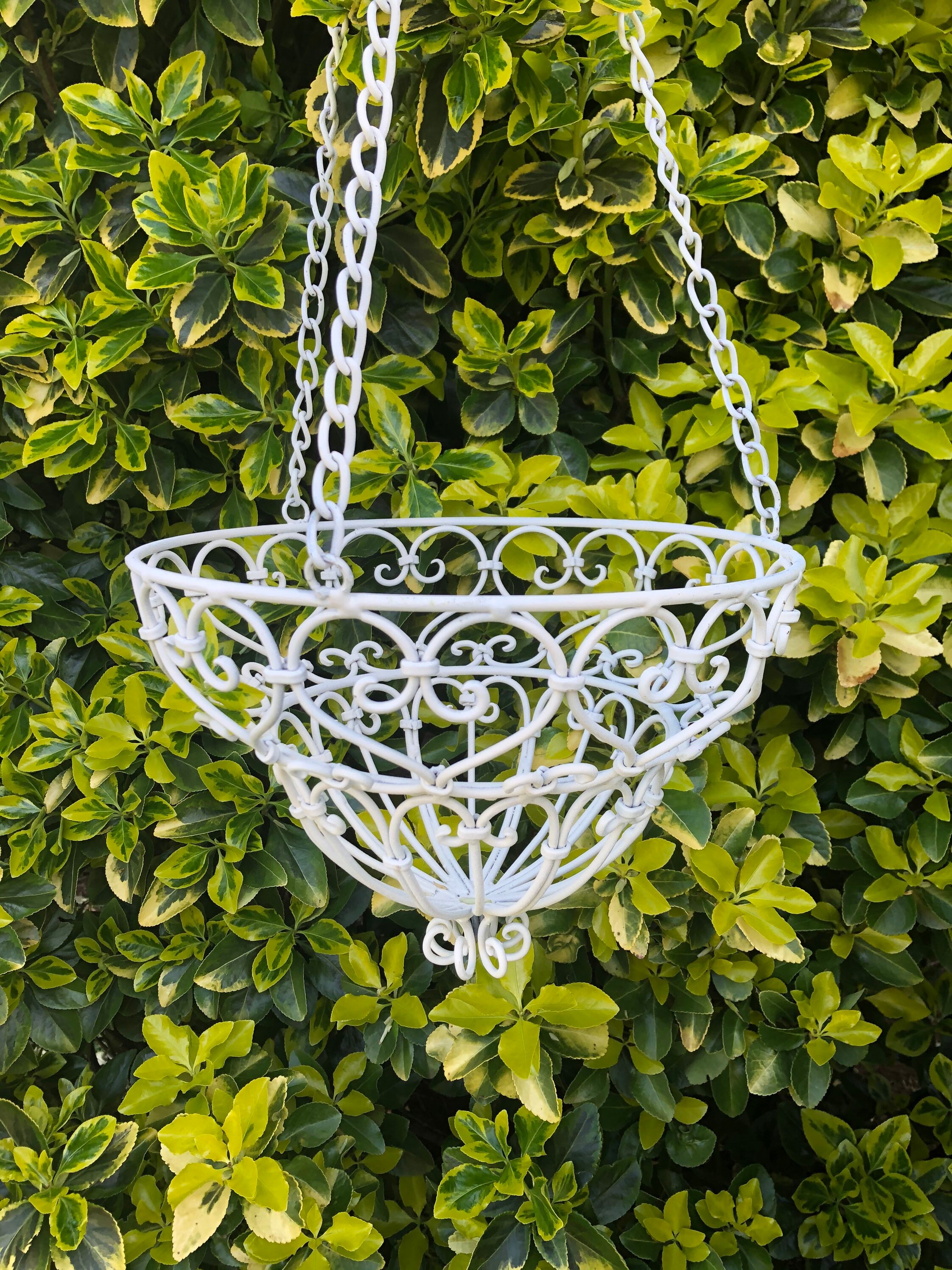 Vintage Wrought Iron Hanging Garden/Planter Basket Outdoor | Etsy