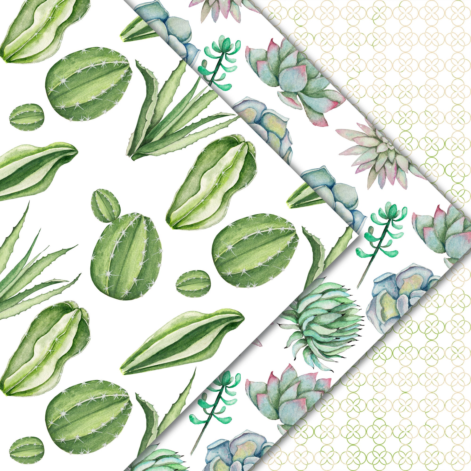 Desert flower essay 04 image