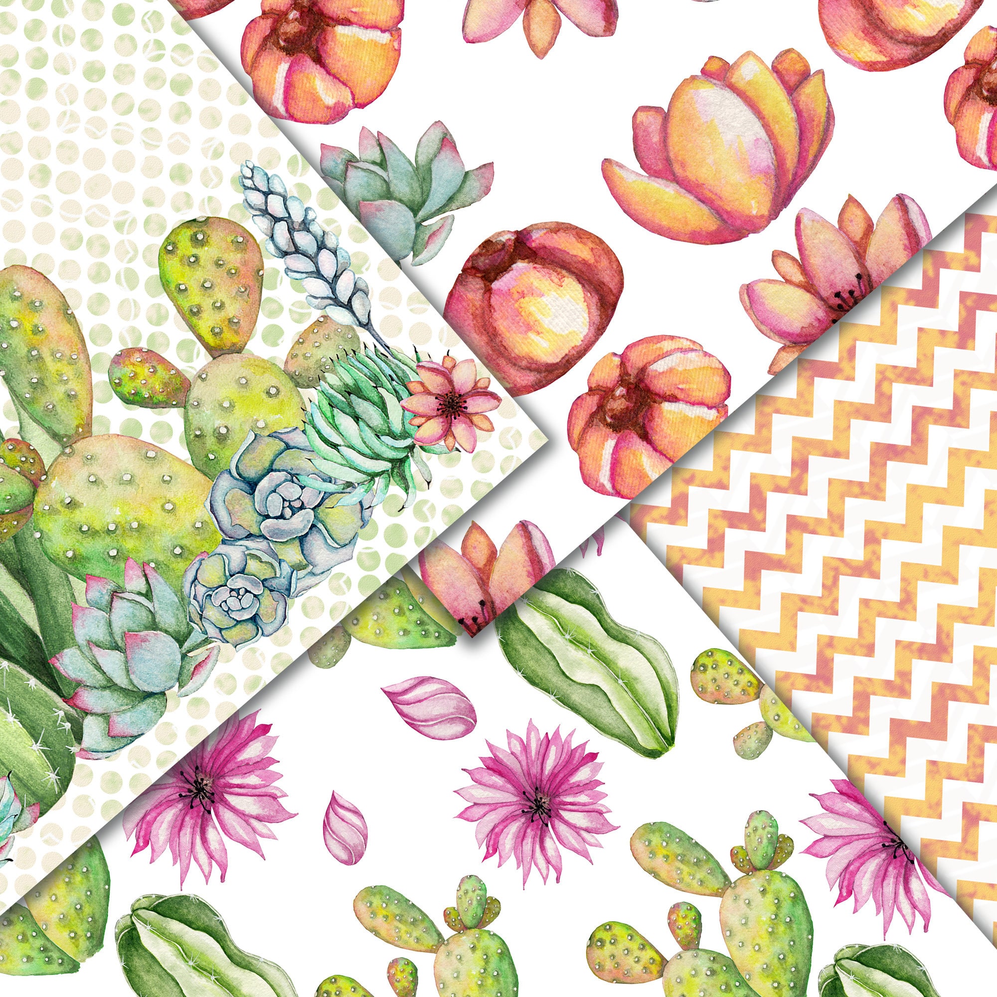 Desert flower essay 07 image