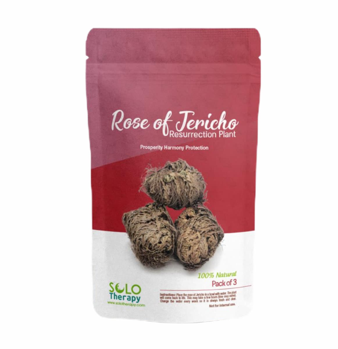 Rose of Jericho Flower The Resurrection Plant | Pack of 3 Dried Roses…