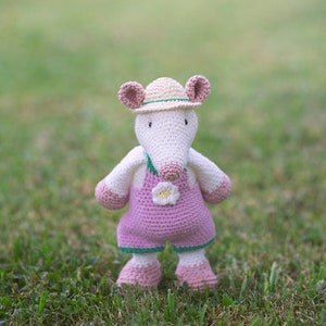 May include: A crocheted stuffed animal in the shape of a mouse wearing a pink dress, a green hat, and a white flower. The mouse is standing on green grass.