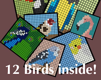 Patrón digital de crochet de manta de pájaros de colores