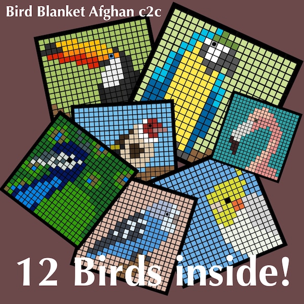 Colourful Bird Blanket Crochet Digital Pattern