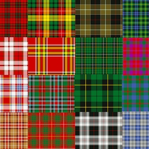 Tartan shoe shop laces