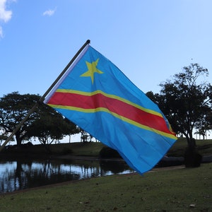 May include: A blue flag with a yellow star and a red, yellow, and blue stripe flying in the wind against a blue sky with white clouds. The flag is in front of a pond and trees.