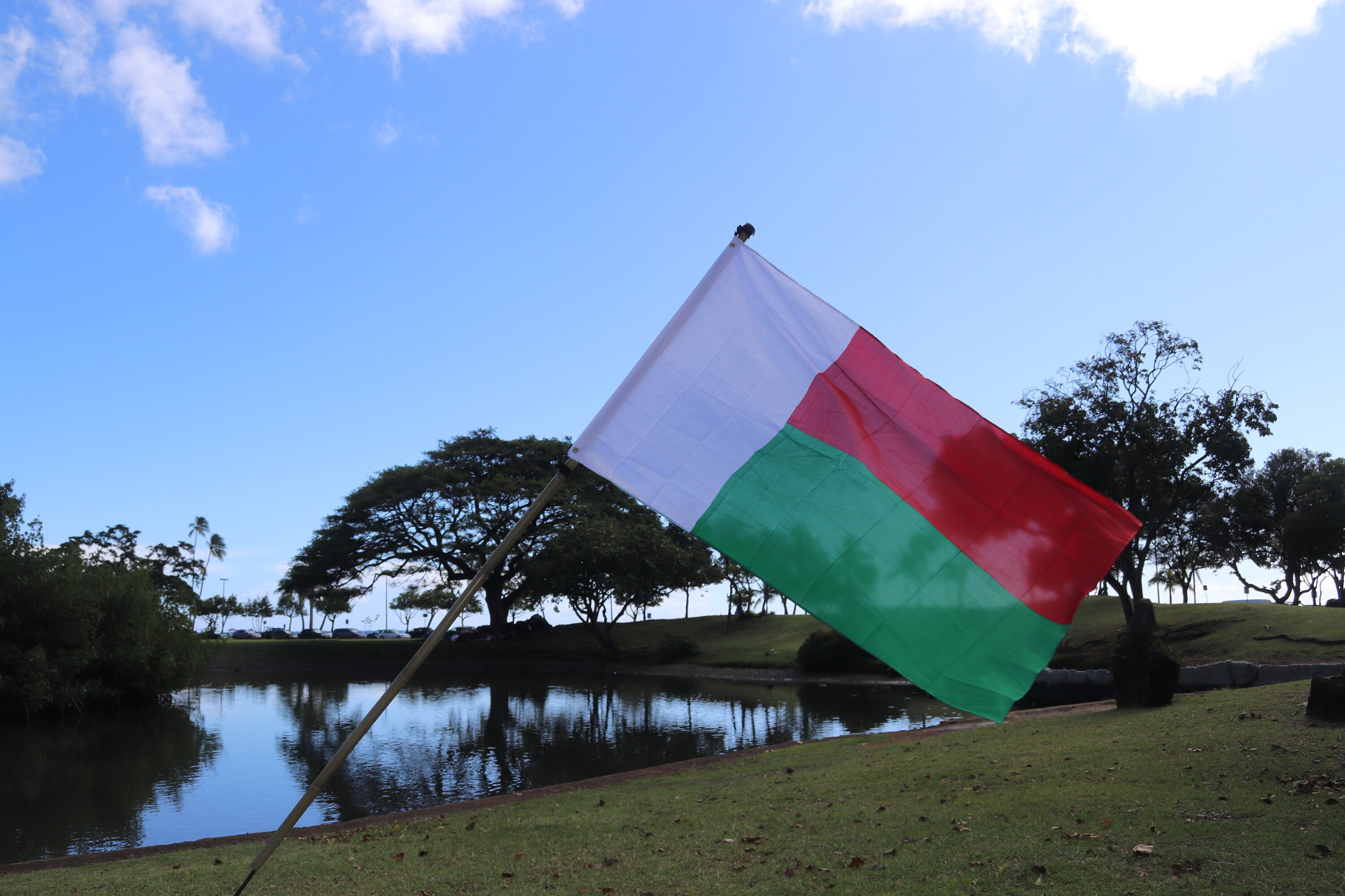 Madagascar Flag - Etsy