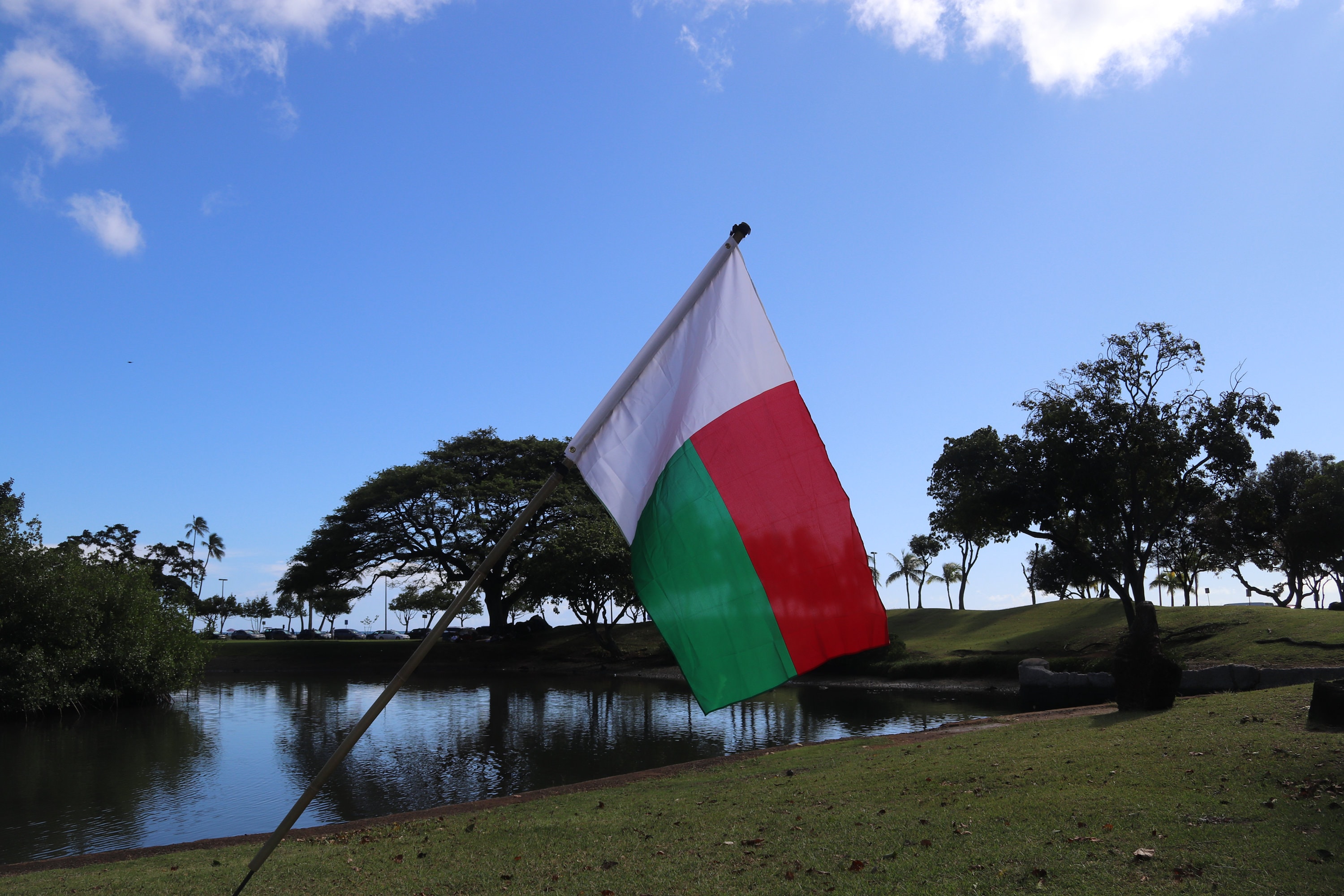 Madagascar Flag - Etsy